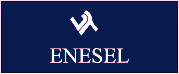 Enesel logo