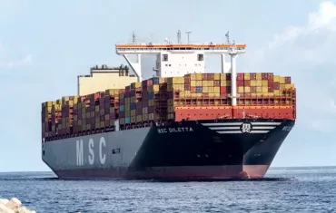 MSC Container fleet