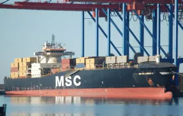 container ship MSC Mia Summer II Port of Antwerp