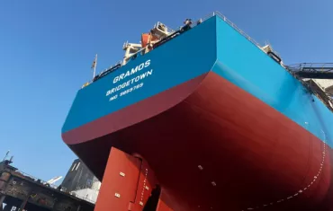 GSD new bulker