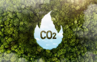 Net-Zero IMO