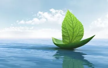Clean Fuel IMO 2030